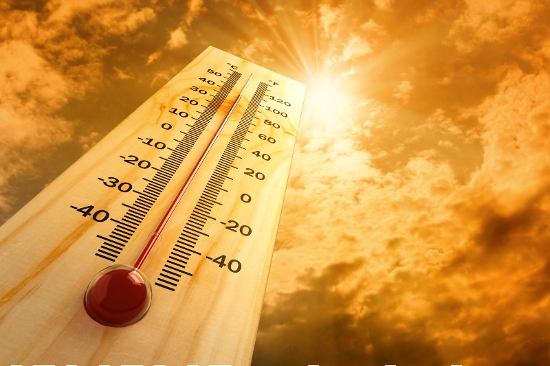 Thriving in a Heatwave :     Stay Cool, Stay Focused, Stay Empowered with Empreso Network